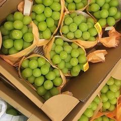 hoa quả nhập khẩu tại Trần Hưng Đạo