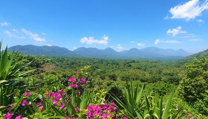 Ruta de Las Flores