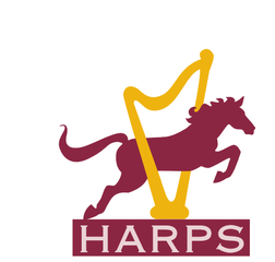 Horse jumping through a harp, the HARPS logo