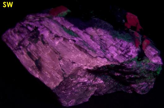 fluorescent AGRELLITE, PECTOLITE, EUDIALYTE, AMPHIBOLE, thorium salts, Kipawa alkaline complex, Les Lacs-du-Temiscamingue, Temiscamingue RCM, Abitibi-Temiscamingue, Quebec, Canada - ex Borden