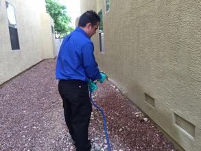 Pest control las vegas