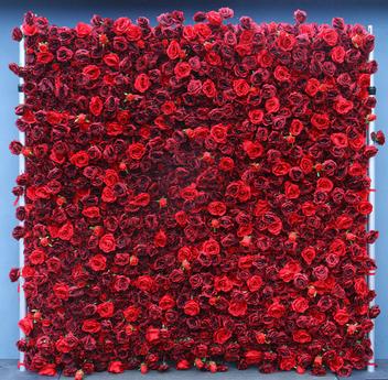 red flower wall