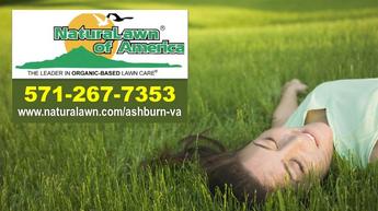 Organic Care of Your Lawn