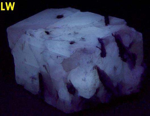 fluorescing CALCITE with LAUMONTITE - Churchville Quarry (Davis Quarry Company Inc.), Churchville, Hardford County, Maryland, USA