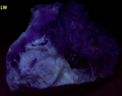 fluorescent SCHEELITE, QUARTZ, carbonates - Furniss Mine, Concord, Cabarrus County, North Carolina, USA