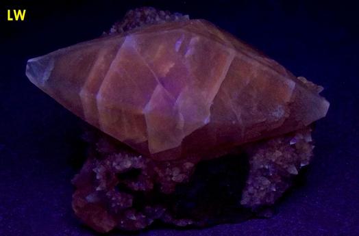 fluorescent CALCITE crystal, Pugh Quarry (France Stone Co. Custar quarry), Weston, Wood County, Ohio, USA - ex Parker Minerals