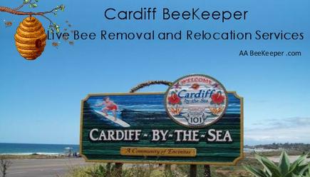 Cardiff Bee Removal Services