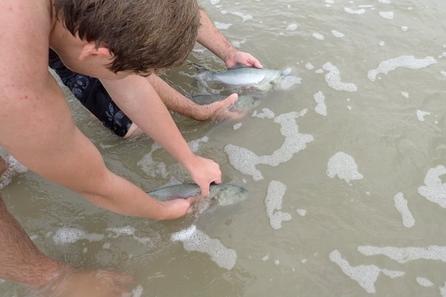 Kids holding fish to release in surf
