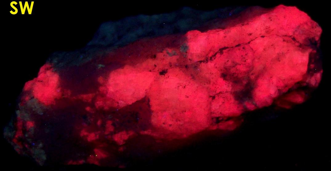 SW and LW fluorescent TUGTUPITE, CHKALOVITE - Taseq Slopes (Tasseq Slopes), Taseq area, Ilimaussaq complex, Narsaq, Kujalleq (Kitaa Province, West Greenland), Greenland, Denmark - ex Tom Pankratz