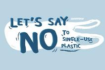 Curriculum Diversity