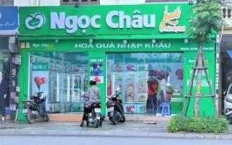 Giá giỏ hoa quả nhập khẩu