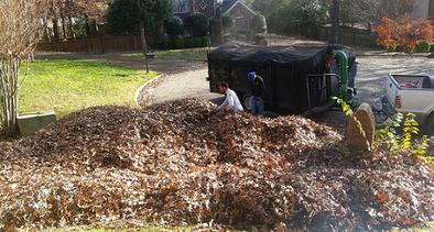 Curbside / Leaf Removal