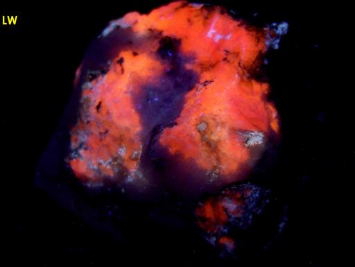 fluorescent TUGTUPITE with AEGIRINE - Ilimaussaq complex, Narsaq, Kujalleq (Kitaa Province - West Greenland), Greenland, Denmark - type locality