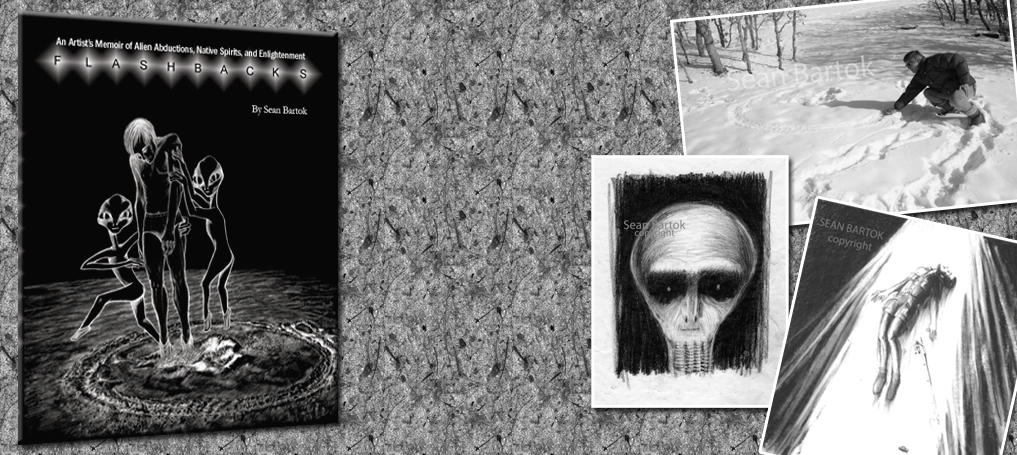 alien abductions novel by sean bartok