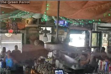 https://greenparrot.com/bar-cams