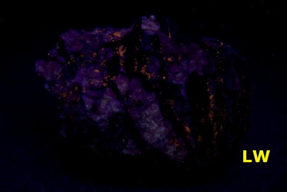 ASTROPHYLLITE blades - Hillside Park Claims, Colorado
