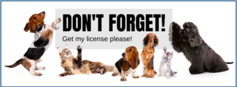 Pet Licensing for City of Garnett