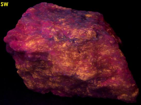 fluorescing SW LW CLINO-SUENOITE, TREMOLITE - International Talc Company Mine No. 8 (Reynolds Mine), Talcville, St.Laurence County, New York, USA