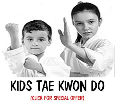 MARTIAL ARTS TAE KWON DO FOR KIDS METUCHEN EDISON