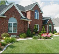 Beautiful grass in Oakville
