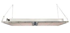 Phantom PhotoBio MX LED