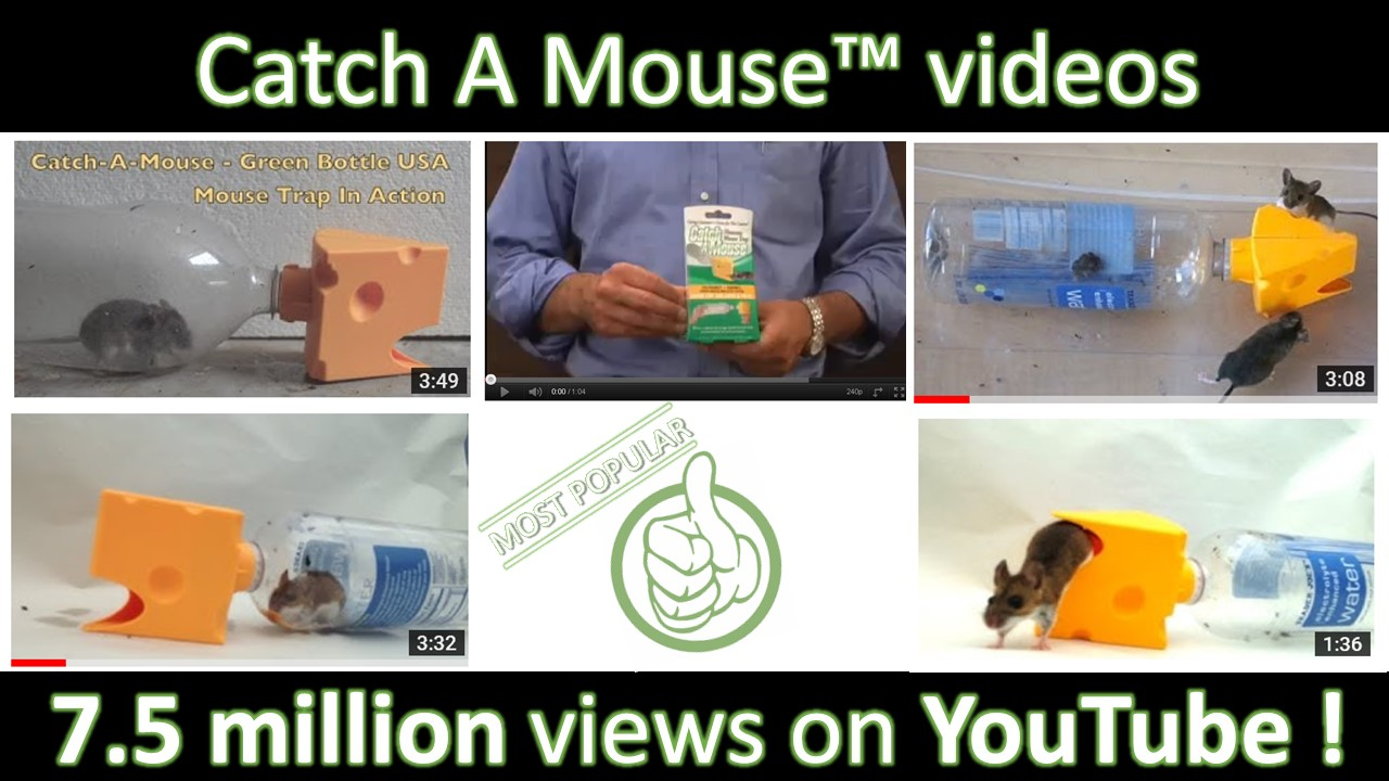 Green Bottle USA, Catch A Mouse - Mouse Trap, Live Catch