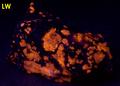 VILLIAUMITE, fluorescent SODALITE, AEGIRINE ACMITE,Kvanefjeld adit, Kvanefjeld Uranium deposit, Kuannersuit plateau (Kvanefjeld), Ilimaussaq complex, Narsaq, Kujalleq (Kitaa Province - West Greenland), Greenland, Denmark - for sale