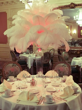 Feather wall backdrop “Rose” - RentalCenterpiece