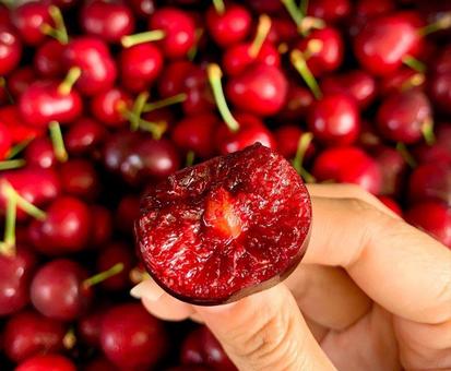 Bán cherry Mỹ tại Hà Nội