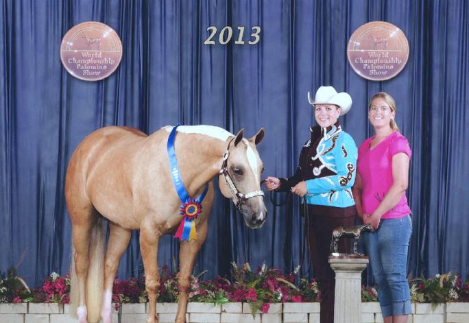 Horse-boarding-stable.jpg