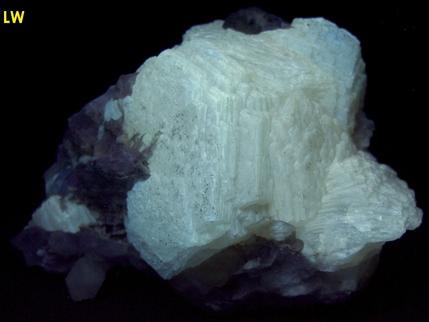 fluorescent SW LW Witherite, fluorite, calcite, sphalerite, Minerva No. 1 Mine, Ozark-Mahoning Group, Cave-in-Rock Sub-District, Illinois Kentucky Fluorspar District, Hardin County, Illinois
