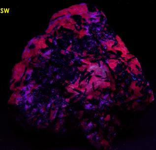 PYROCHLORE, MAGNETITE, Aegirine-Augite, fluorescent Calcite, Oka complex, Oka, Deux-Montagnes RCM, Laurentides, Québec, Canada, ex Adrian Labuz, 1965