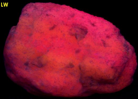 fluorescent CLINO-SUENOITE Manganocummingtonite and TREMOLITE - International Talc Company Mine No.8 (Reynolds Mine), Talcville, St. Lawrence County, New York, USA