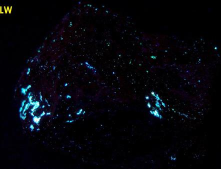 hydrocarbon mineral fluorescent IDRIALITE CURTISITE - Skaggs Springs Mine, Skaggs Springs, Warm Springs Dam, Coast Range, Sonoma County, California, USA