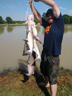 Sunrise Catfish Farms