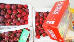 Bán cherry tại Hà Nội
