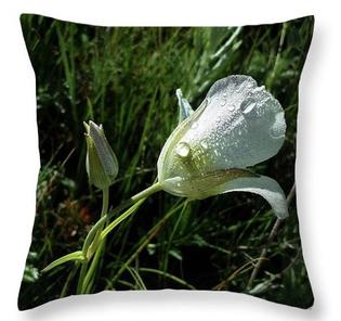Mariposa Lily Fine Art Throw Pillow by Laura Davis
