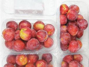mận cherry, cung cấp quả mận cherry nhập khẩu bán tại Hà Nội