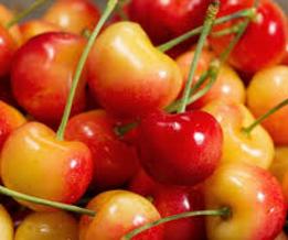 Cherry vàng, cherry Mỹ, hoa quả nhập khẩu tại hà nội