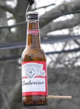 How to drill a hole through a glass budweiser bottle for making a birdfeeder. www.DIYeasycrafts.com