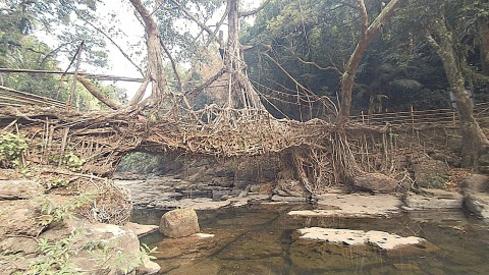 Assam Meghalaya Kaziranga Tour Package Best Itinerary