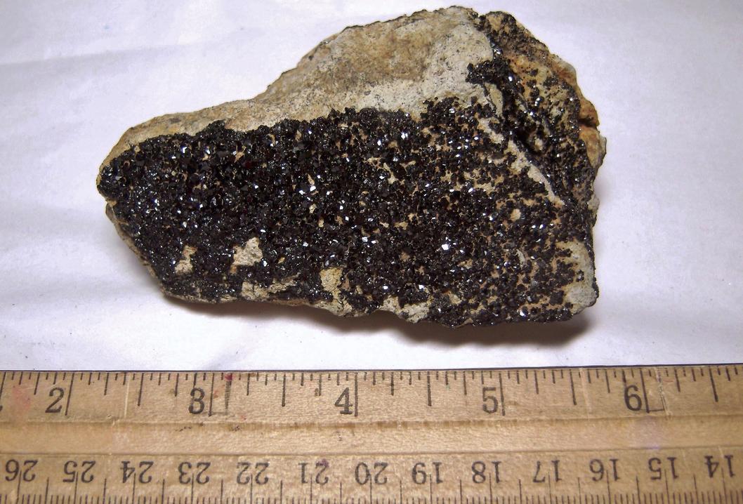 Titanium ANDRADITE MELANITE, California State Gem Mine (Dallas Gem Mine; Benitoite Gem Mine; Benitoite Mine; Gem Mine), Dallas Gem Mine area, San Benito River headwaters area, New Idria District, Diablo Range, San Benito County, California, USA, ex Rutgers Geology Museum