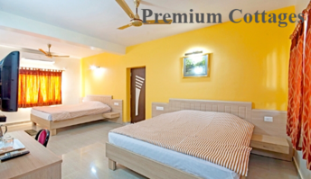 Premium Packages