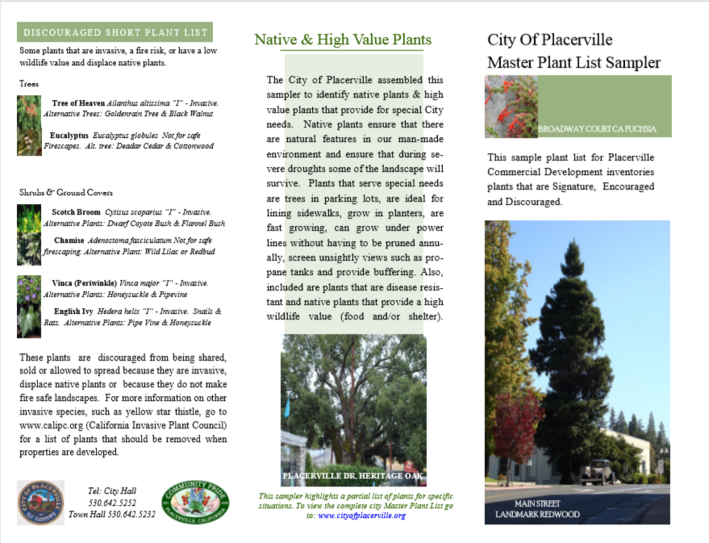 City of Placerville Master Plant List Sampler Plant Palette Placerville Petals Community Pride Volunteers Archives Josette Johnson http://www.josettejohnson.com