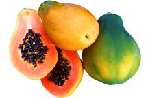 Papaya