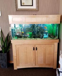 custom fish tank for home in milwaukee
