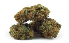 Hybrid cannabis-weed-bud-kush- Canada-Canadian