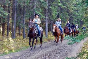 Horseback riding trail