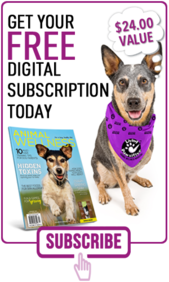 Animal Wellness FREE Digital Subscription