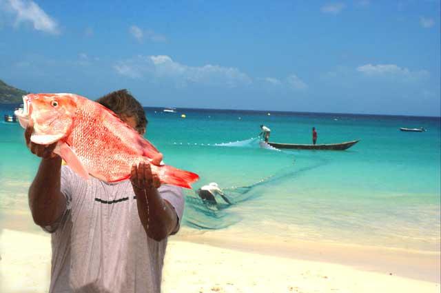 File:Fishing in the haor with Seine net.jpg - Wikimedia Commons